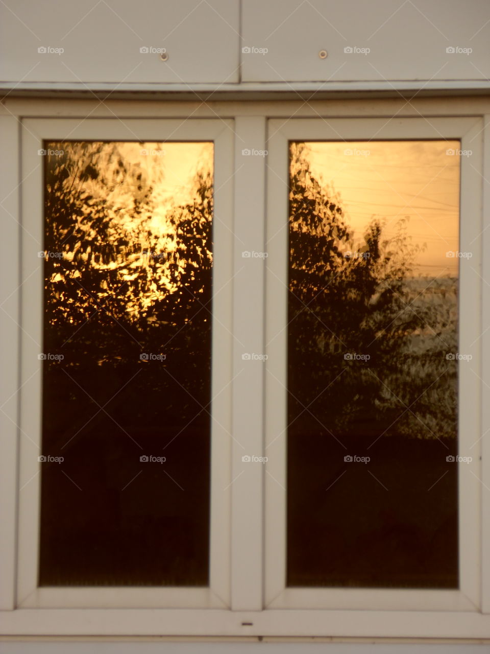 The Reflection cycle