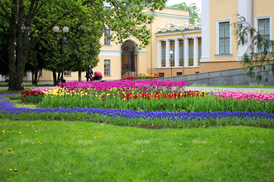 Park, city park, nature, trees, grass, flowers