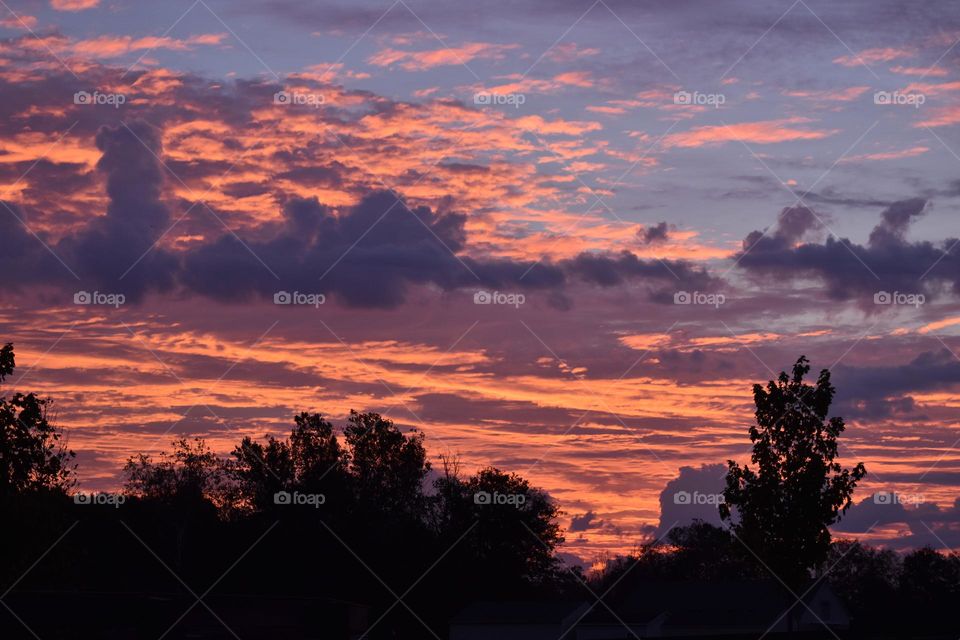 A vibrant pink and blue sunset over a lush forest 