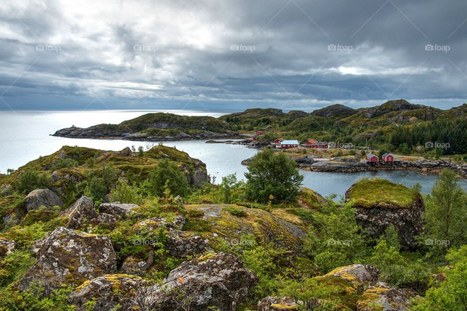 Scenic view of lake