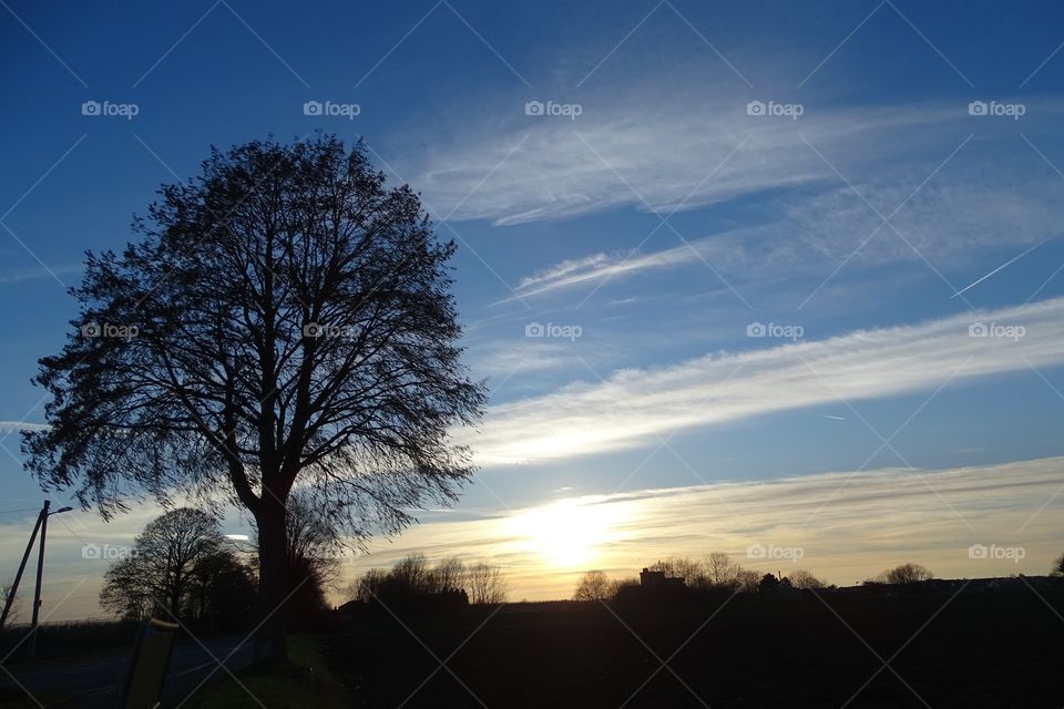 Sonnenuntergang Bonn