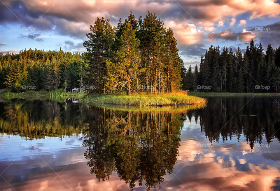 Reflection, Lake, Dawn, No Person, Water