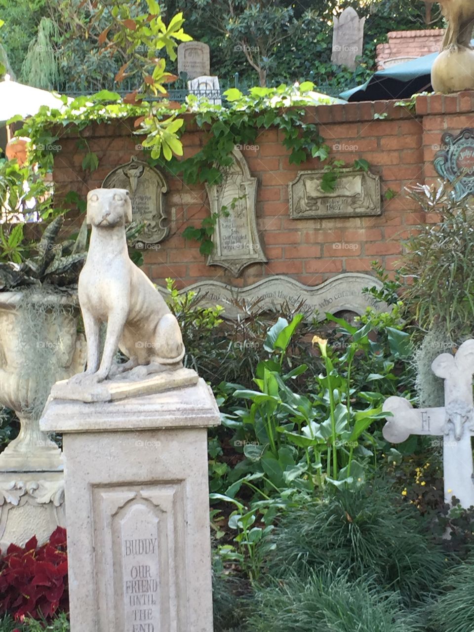 The Haunted Mansion at Disneyland. In Anaheim, California. Pet Cemetery and Immortal Cemetery. No Time in This Realm. Copyright Chelsea Merkley Photography 2019. 