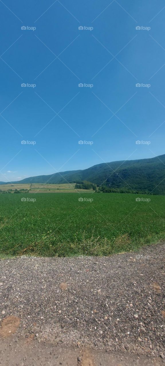 green fields of Serbia