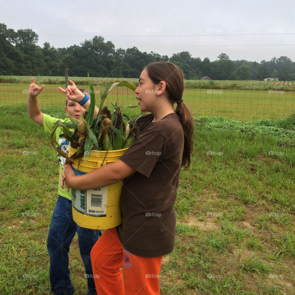 Two children walking on grassy field with bucket of corn cob