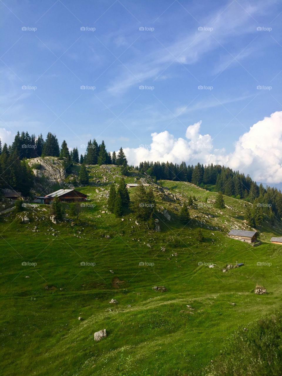 High in the mountains