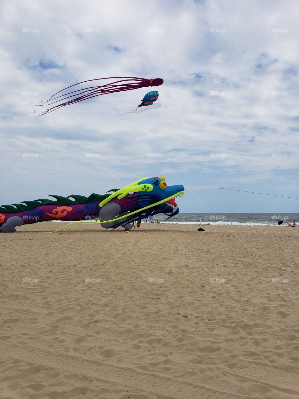 dragon kite