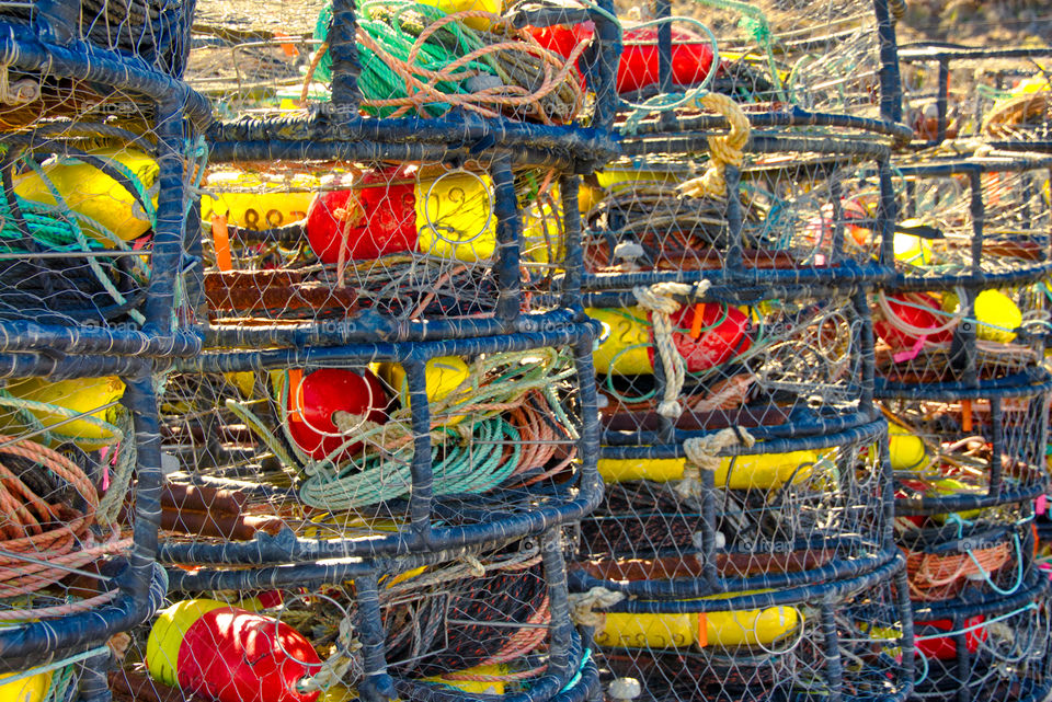 Crab Traps Bodega Bay