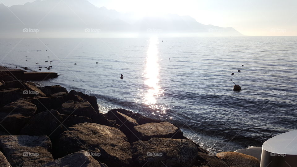 Tagesausflug in Montreux &
Sonnenspiegelung im See