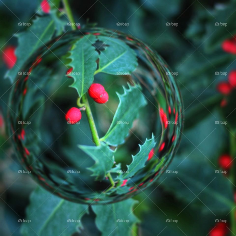 Red cherry in the lens ball