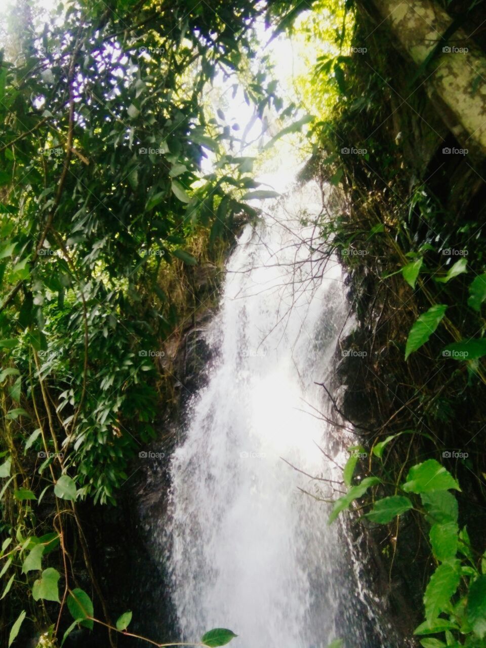 water fall
