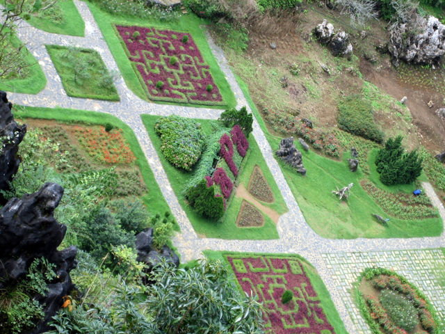 green hill life vegetation by mengzishiliu