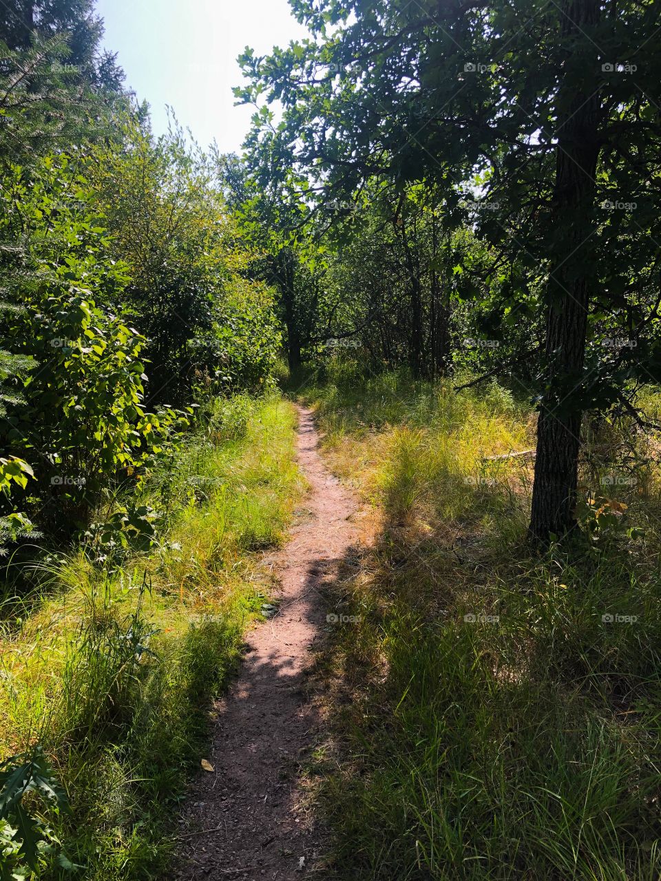 Hiking trail