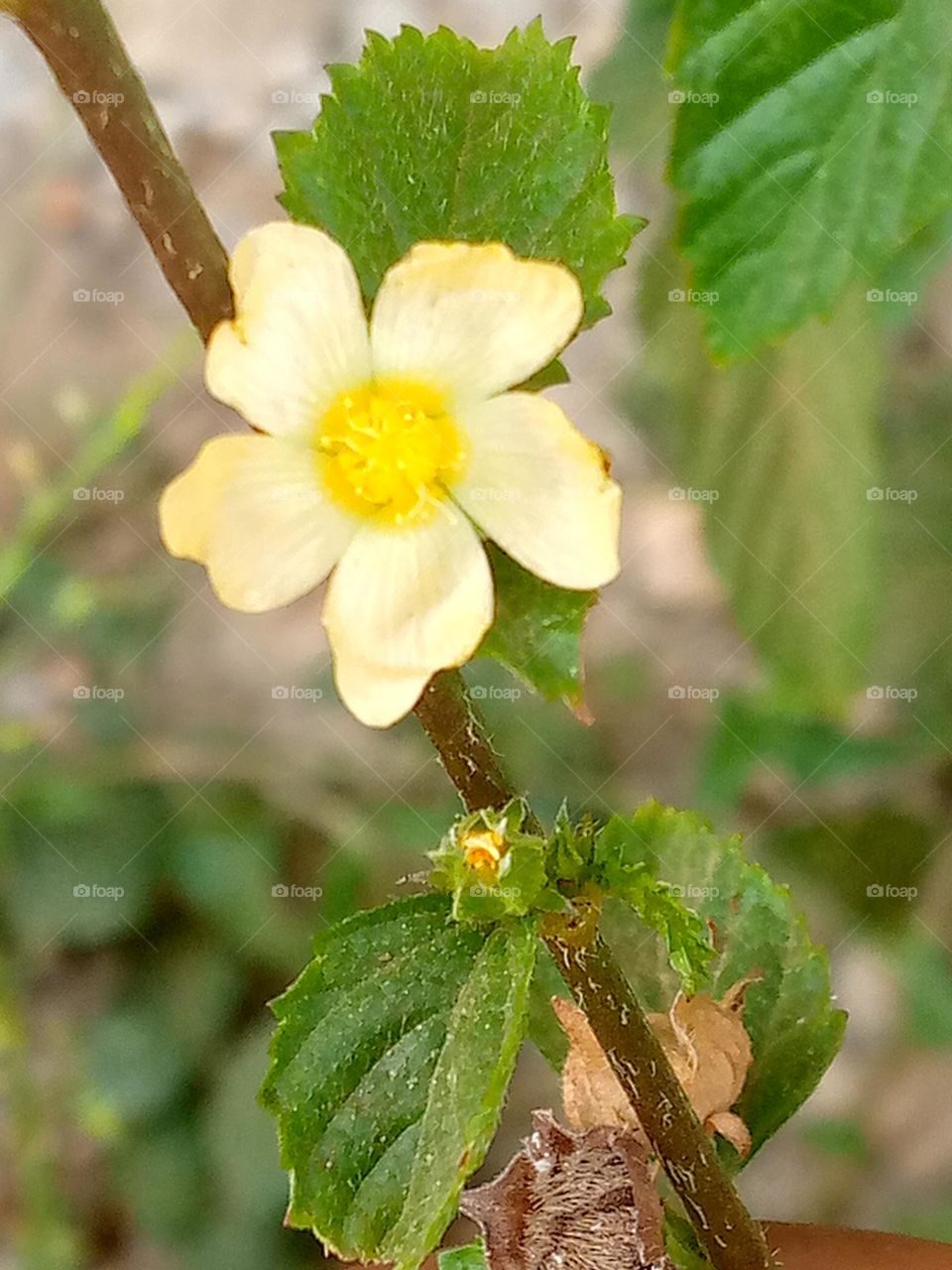 It's the simple things that matter