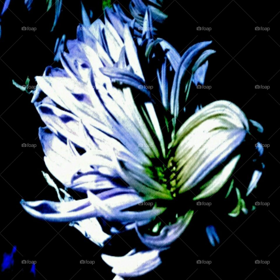 dancing. lighting effects