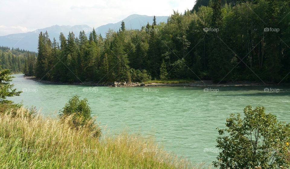 River in B.C