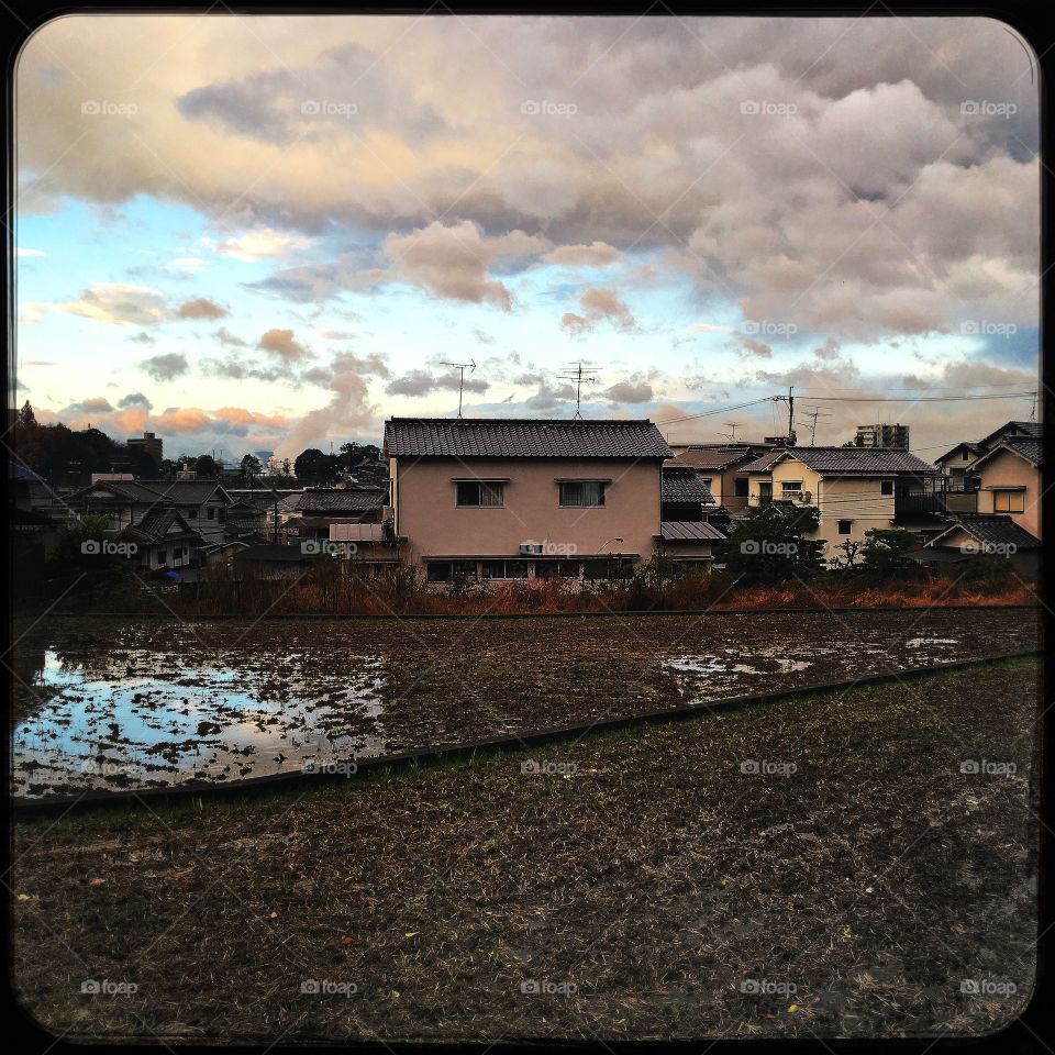 Japanese farmhouse before a flooded rice paddy under a cloudy sky