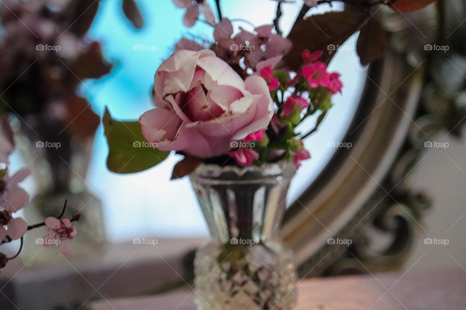 Magnolia flower in a vase