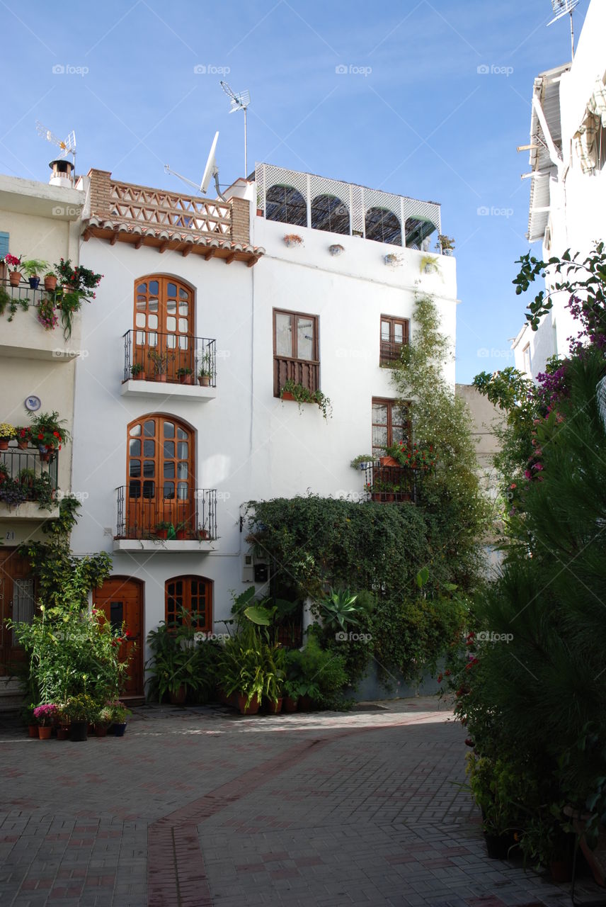 When the street itself is a garden