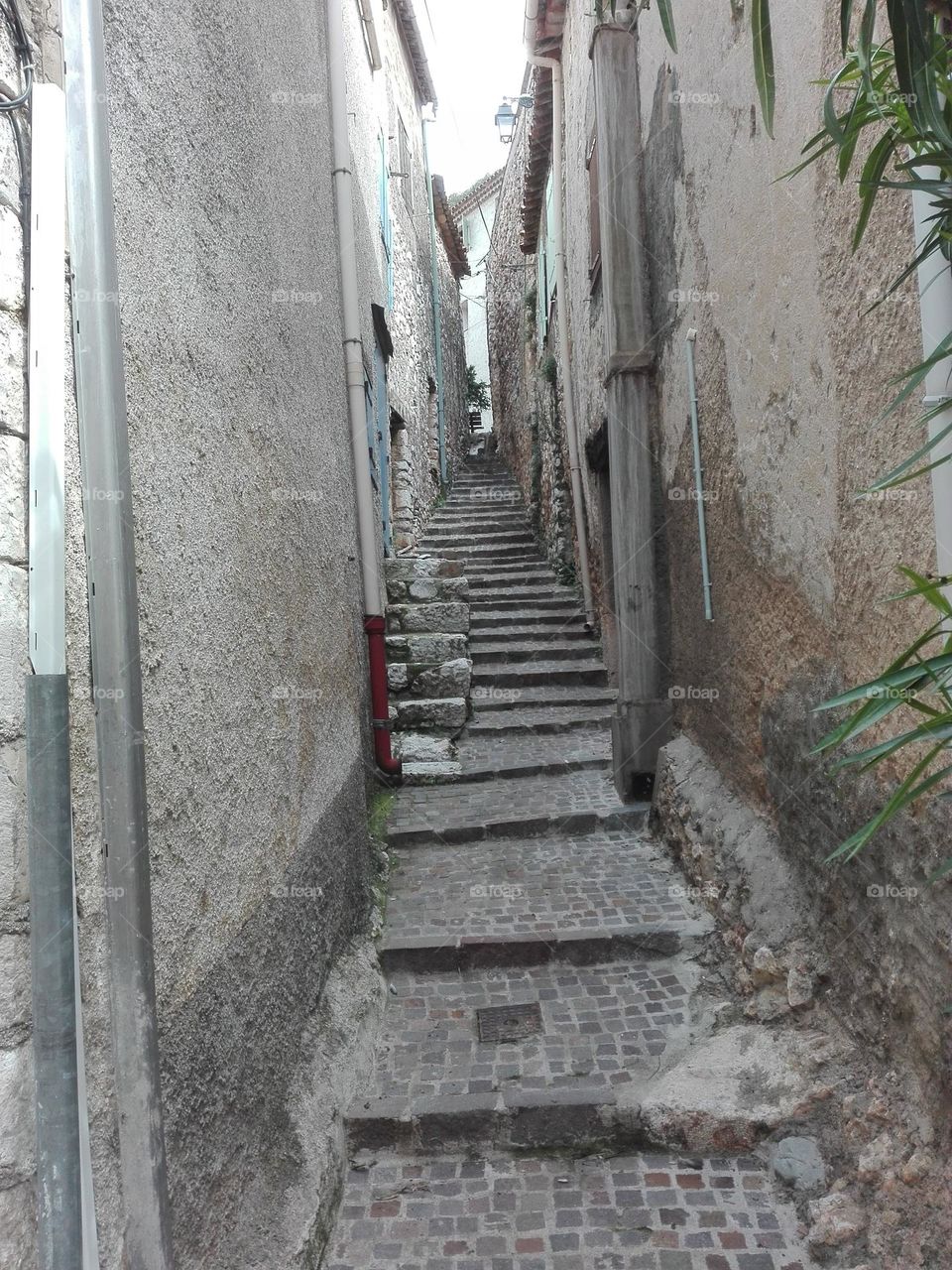 The gorges du Verdon , Ardèche , France