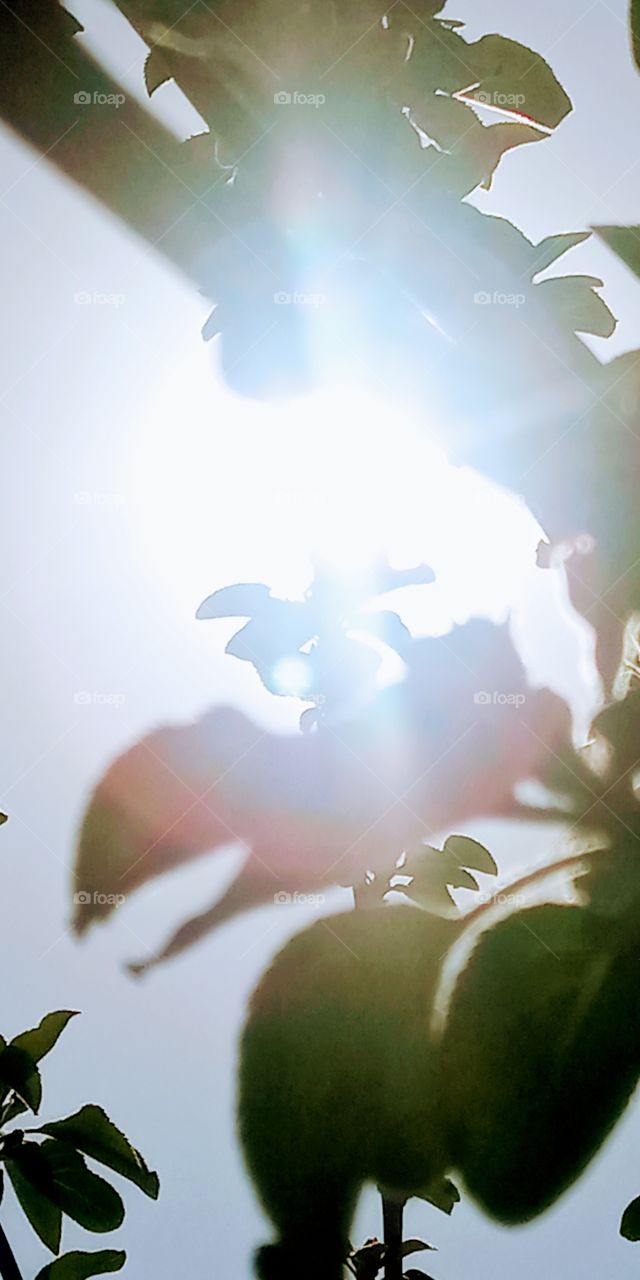 today's sunlight in south korea