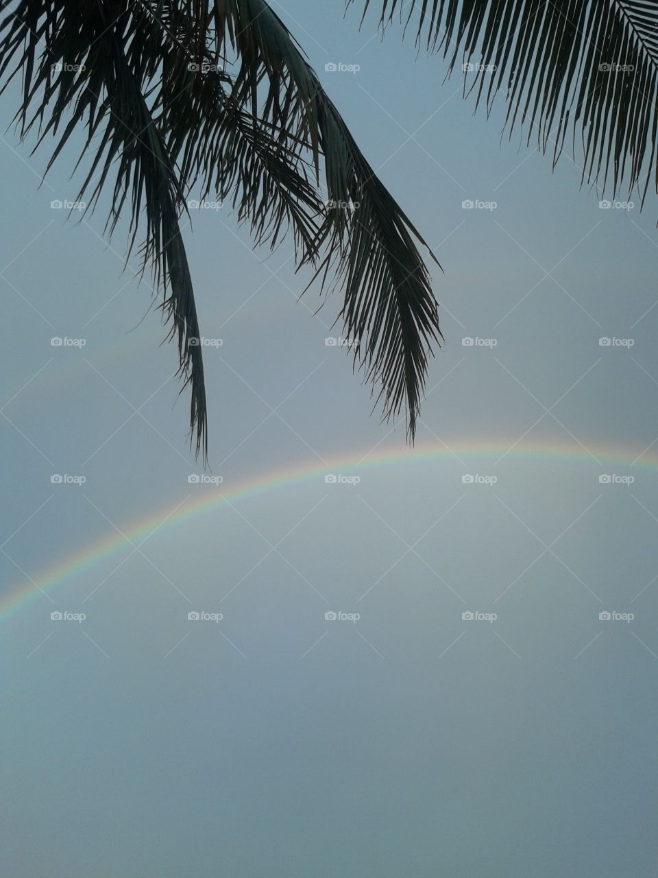 rainbow in the sky