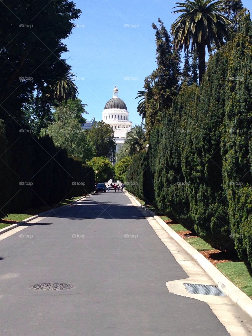 Ca state Capitol