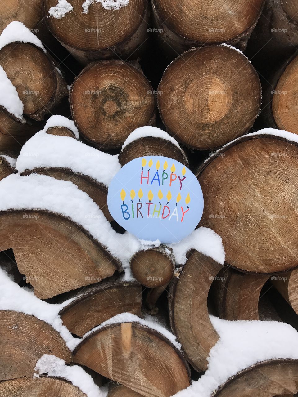 Happy Birthday on a stone with cutted trunks background