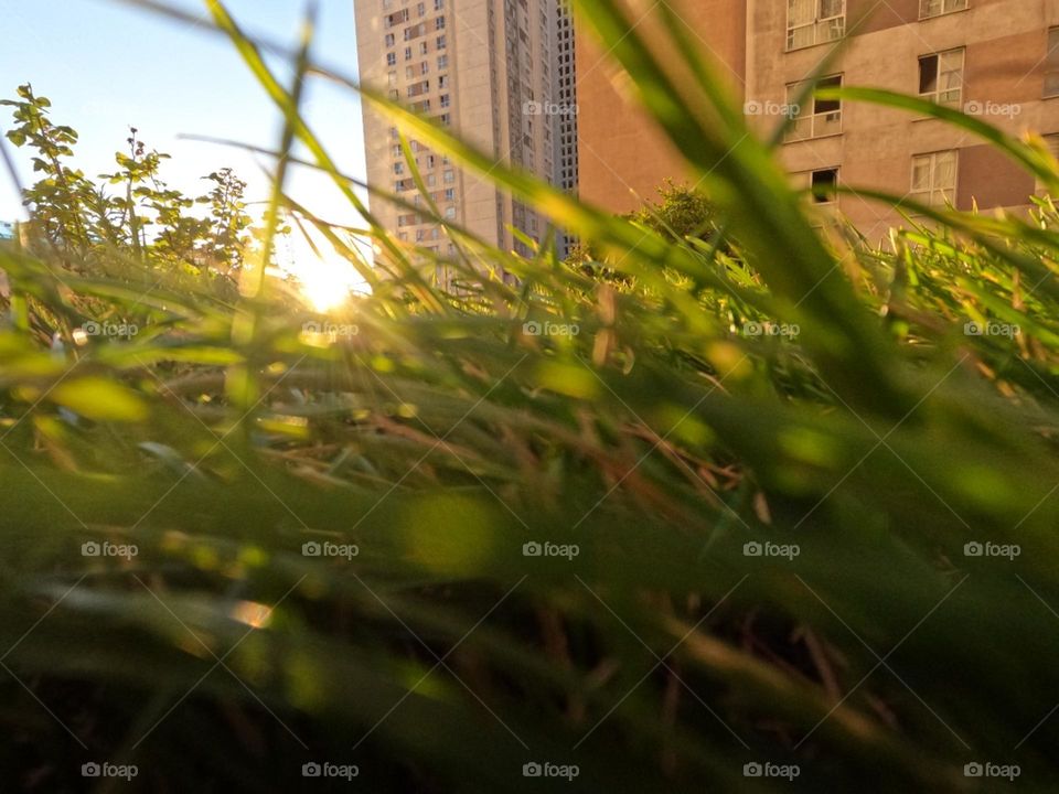 beautiful sun rises view