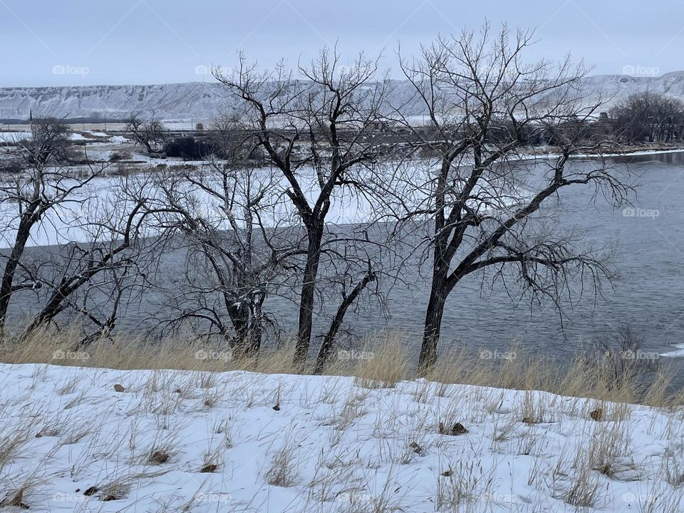 A winter cloudy day, in Medicine Hat, Alberta, Canada, a landscape photo with snow and ice, brown bare trees, and coulee hills in the background, along the South Saskatchewan river.