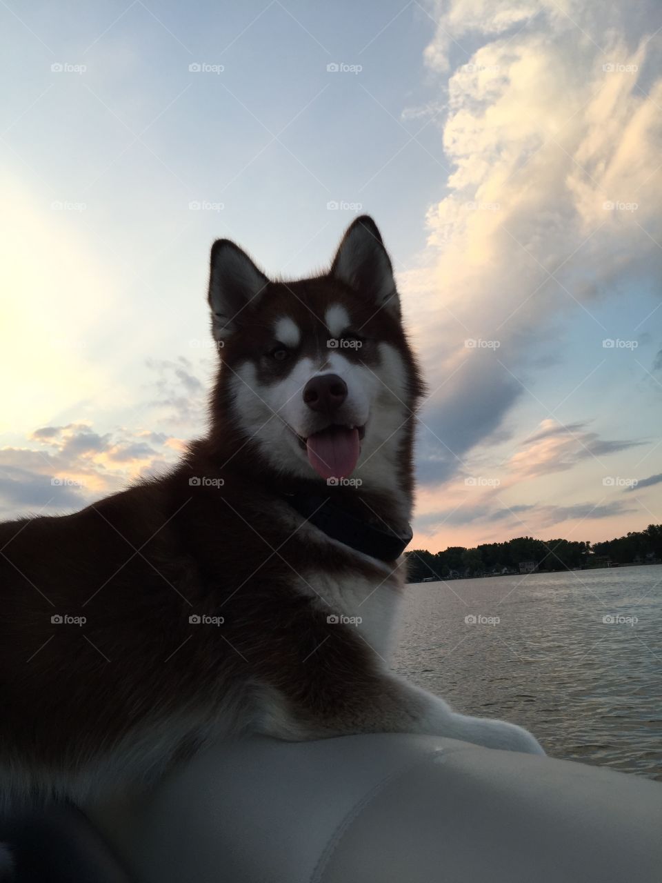 Sunset boat ride on the lake 