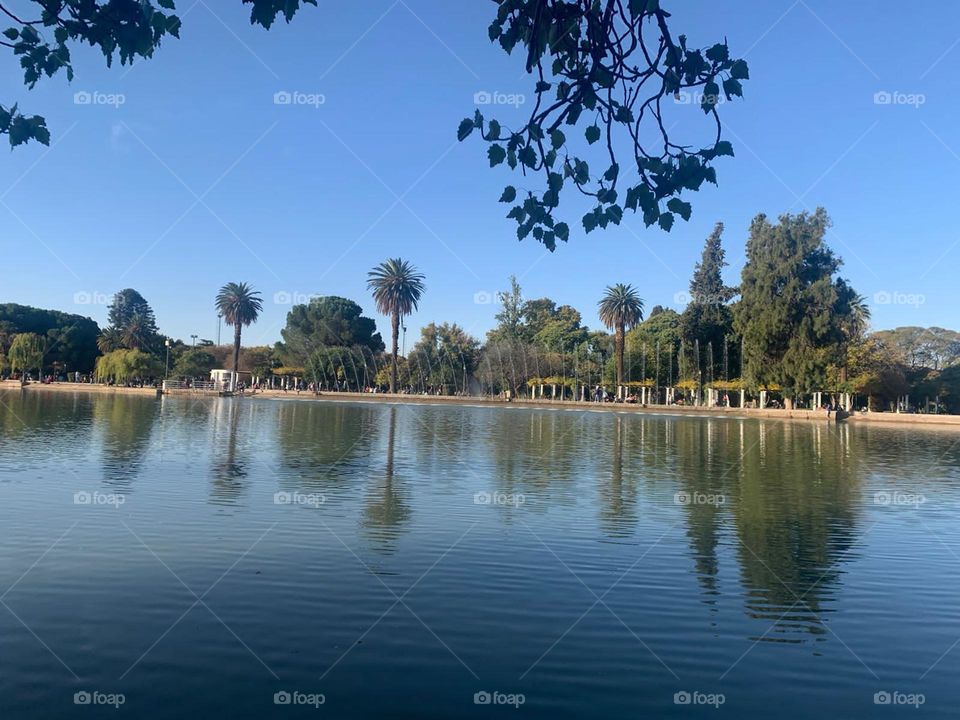 Lake and nature