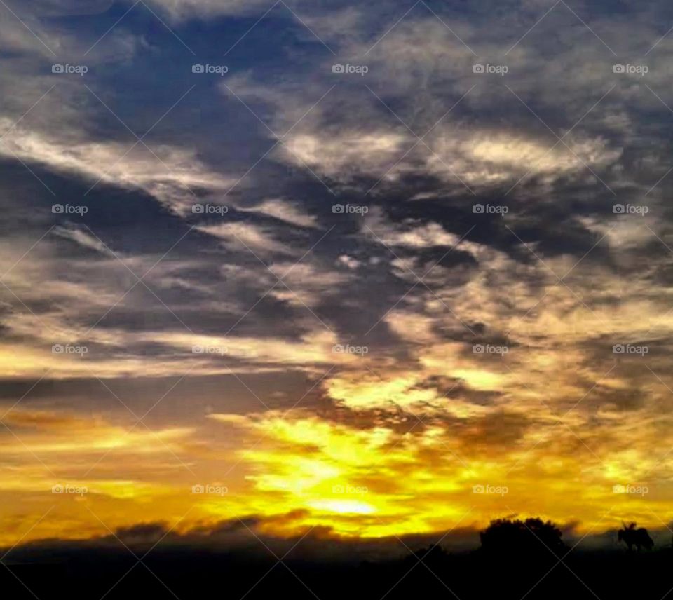 🌄🇺🇸 An extremely beautiful dawn in Jundiaí, interior of Brazil. Cheer the nature! / 🇧🇷 Um amanhecer extremamente bonito em Jundiaí, interior do Brasil. Viva a natureza! 