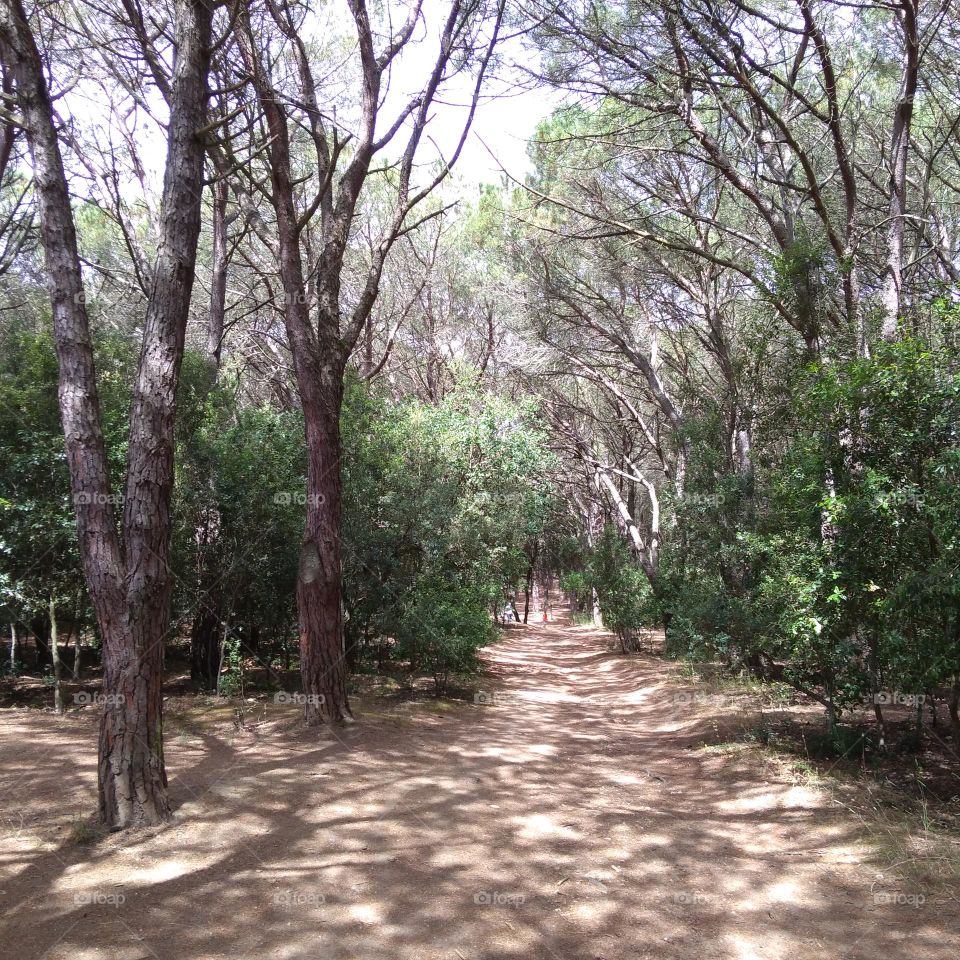 Editors' Choice: Photo of the Week