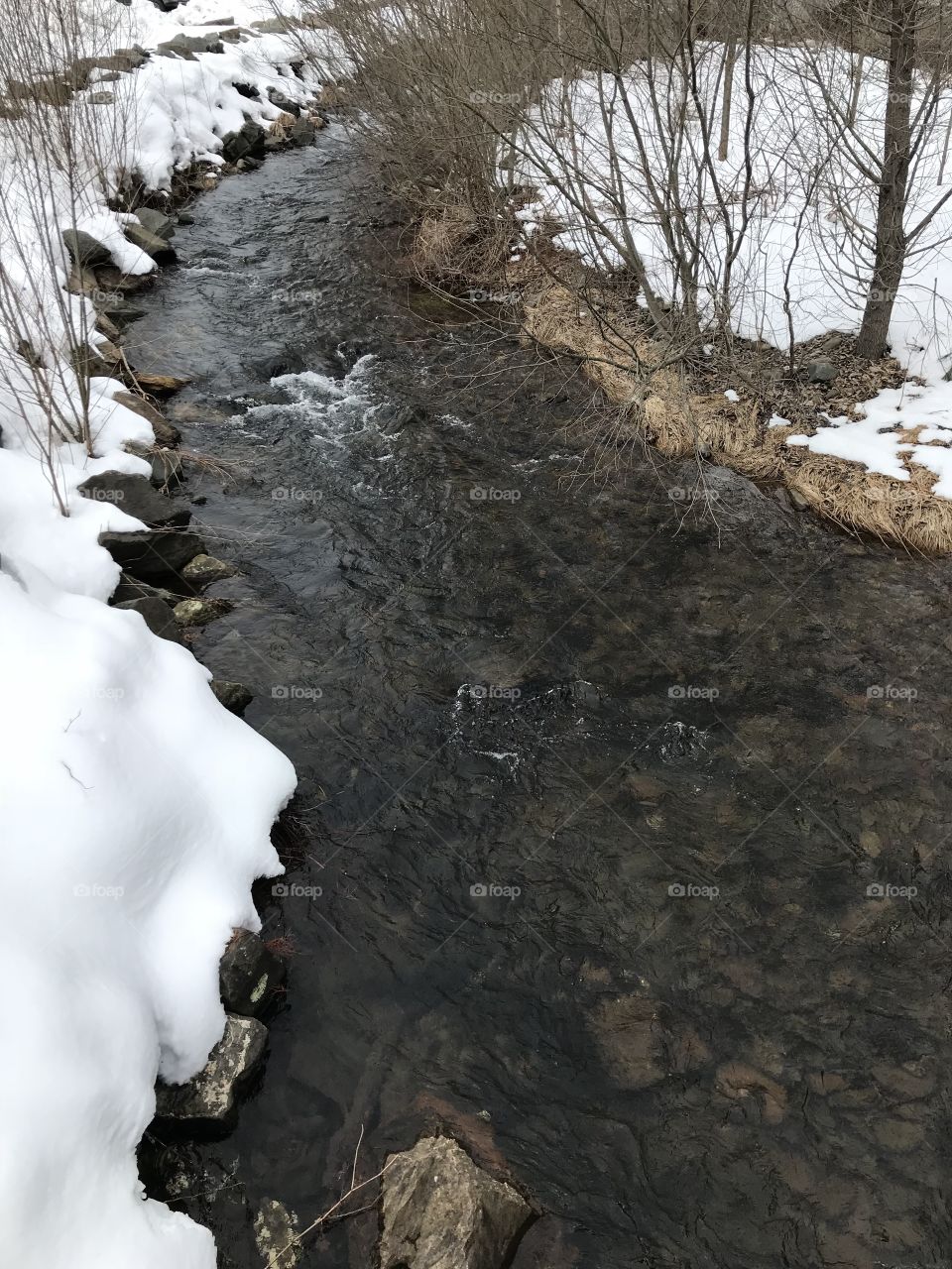 Creek Paradise Stream