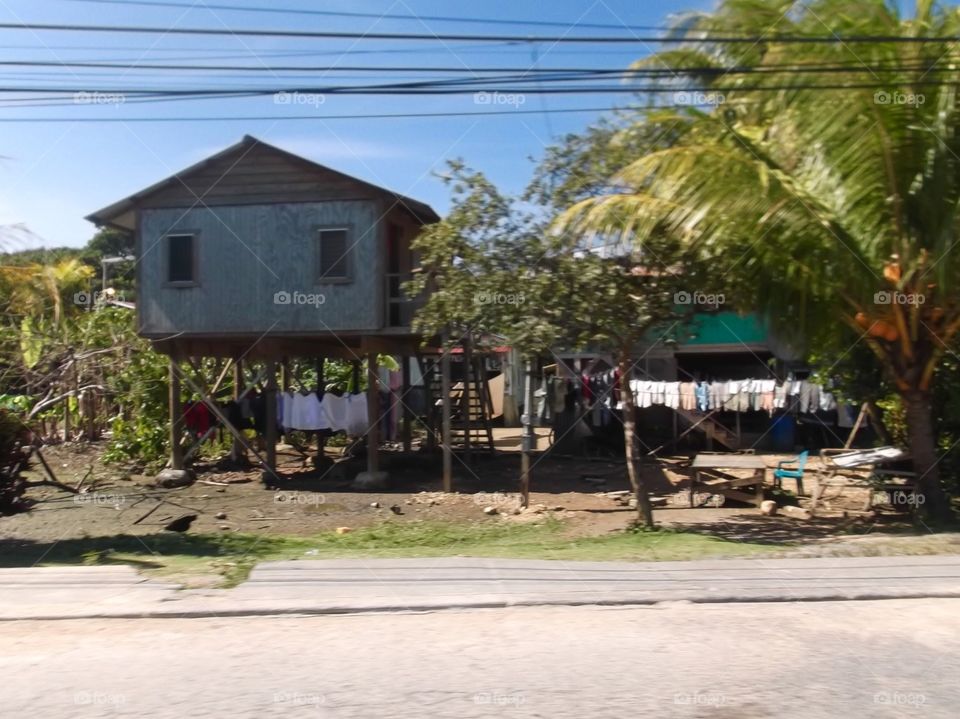 Picture from moving car traveling in Roatan Honduras  