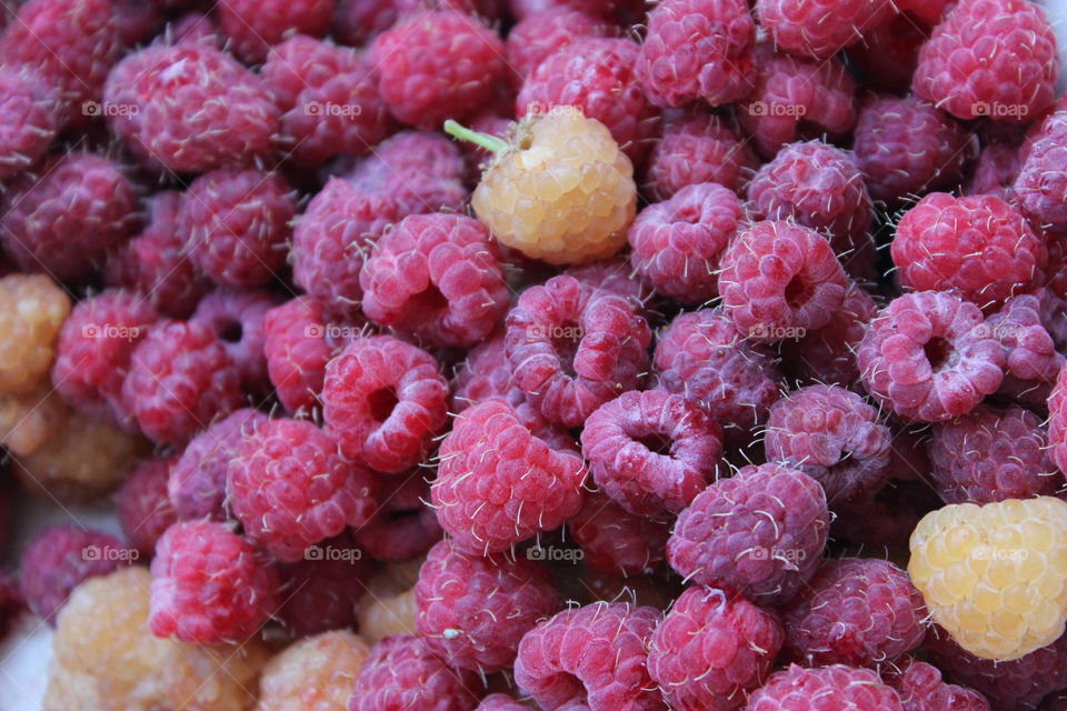 Raspberry, red and yellow berries