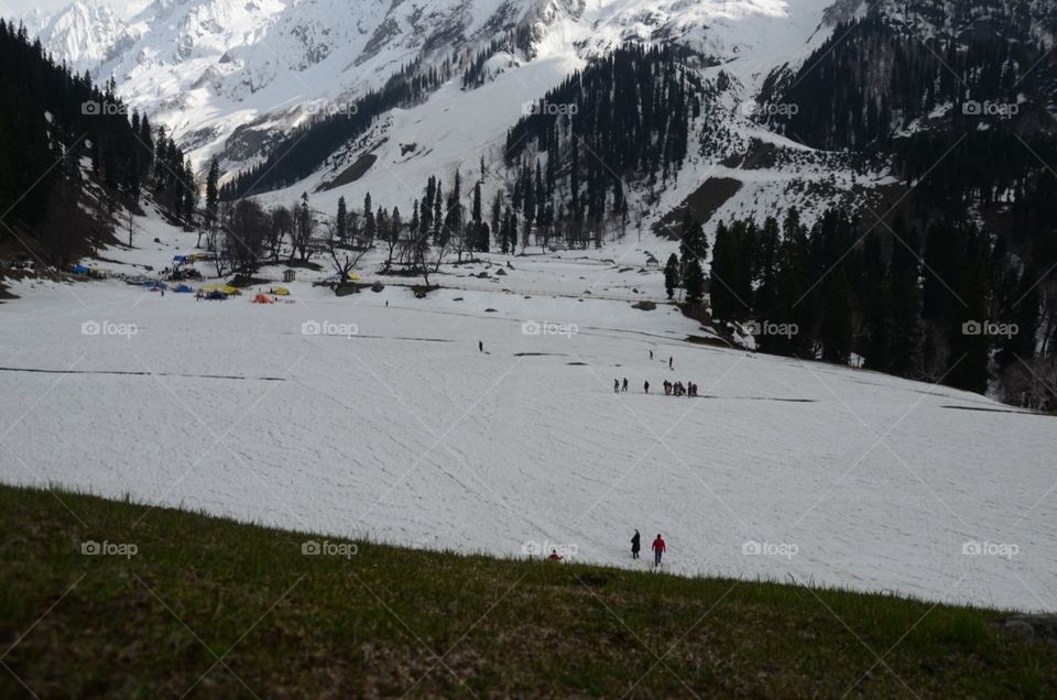 snow ladden Gulmarg