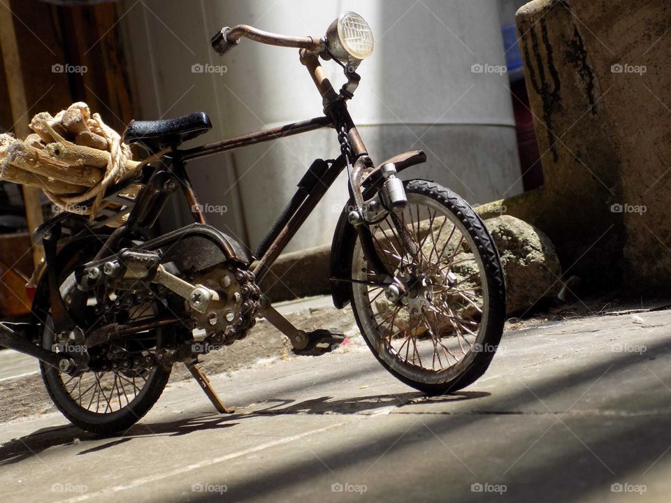 Looking for firewood