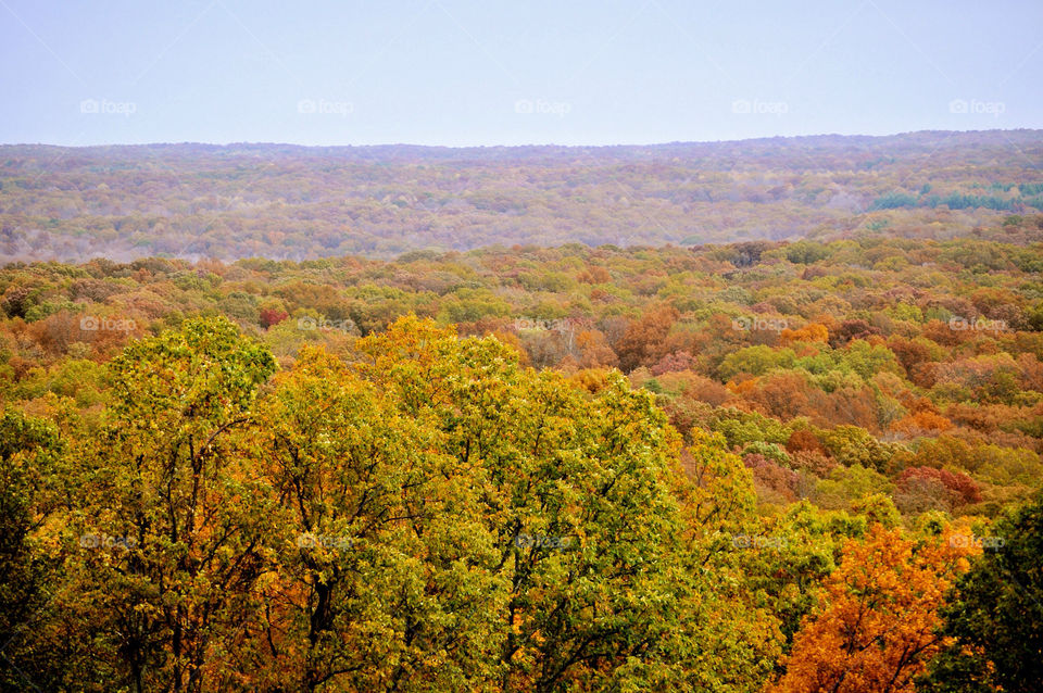 nature outdoors colors tree by refocusphoto