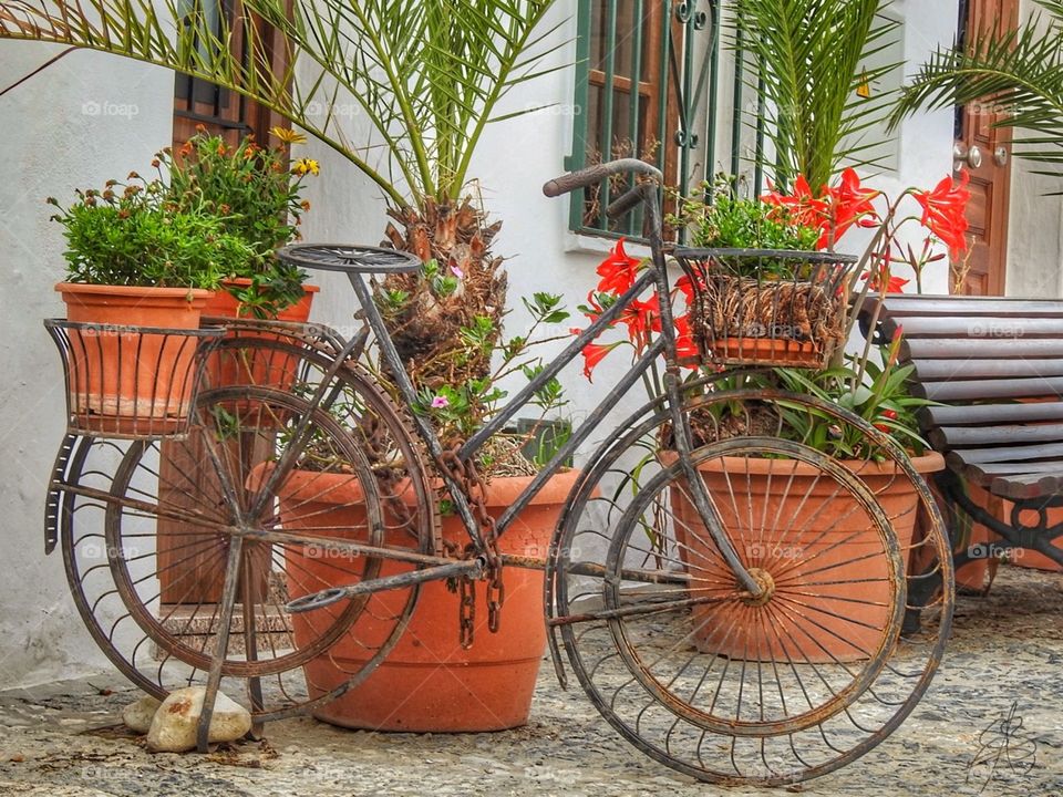 Floral iron bike