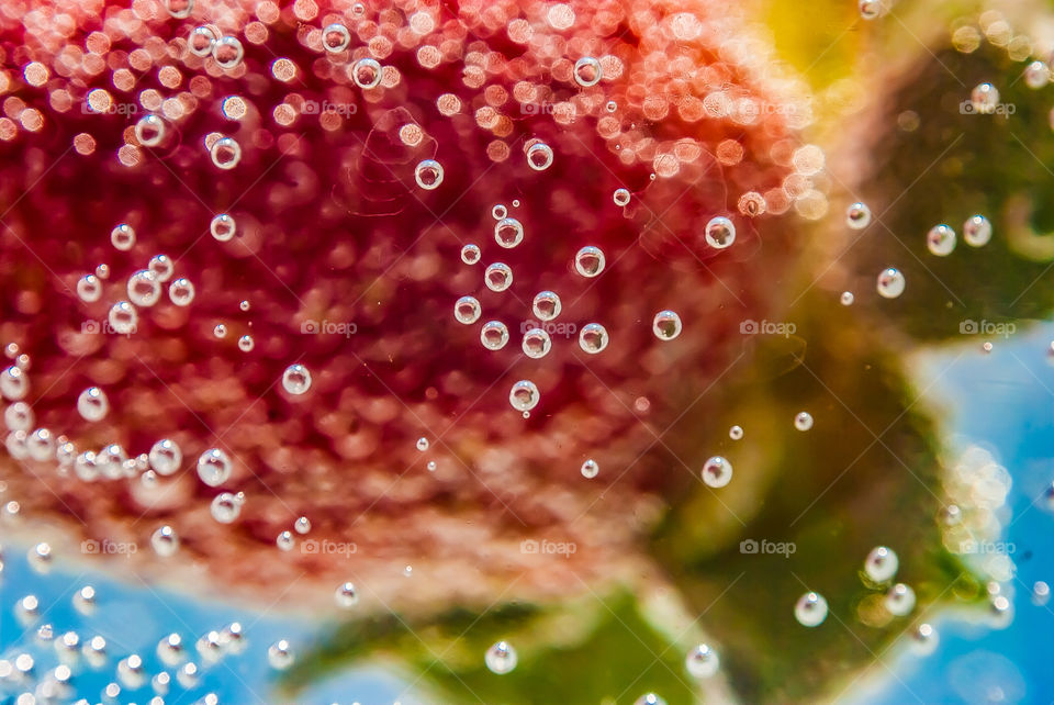 colourful berries 