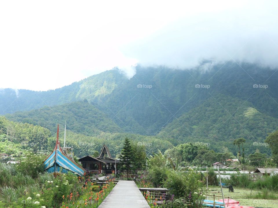 a park with a misty mountain backdrop
