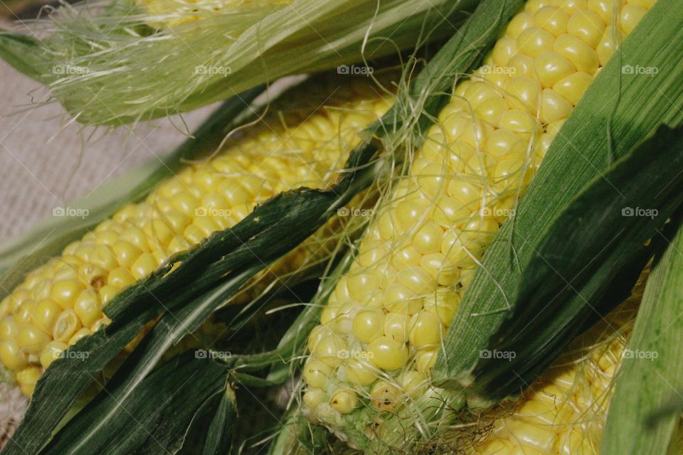 corn