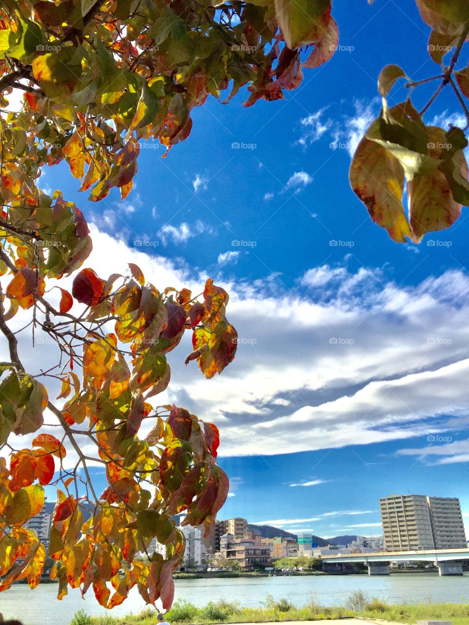 beautiful autumn afternoon