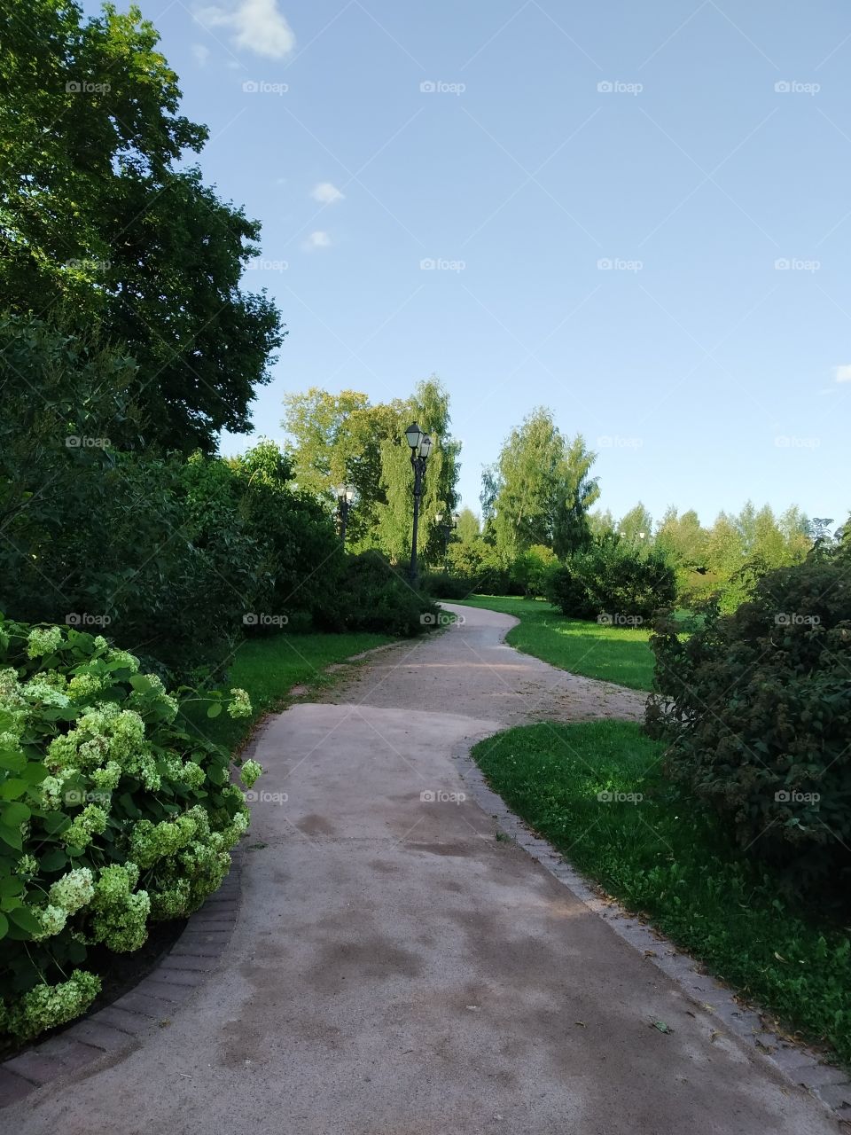 🌞🌍🌳🌄🌼🌼🌼