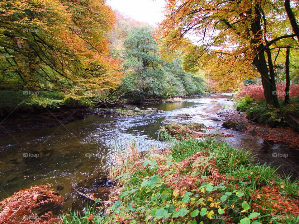 View of river in autumn