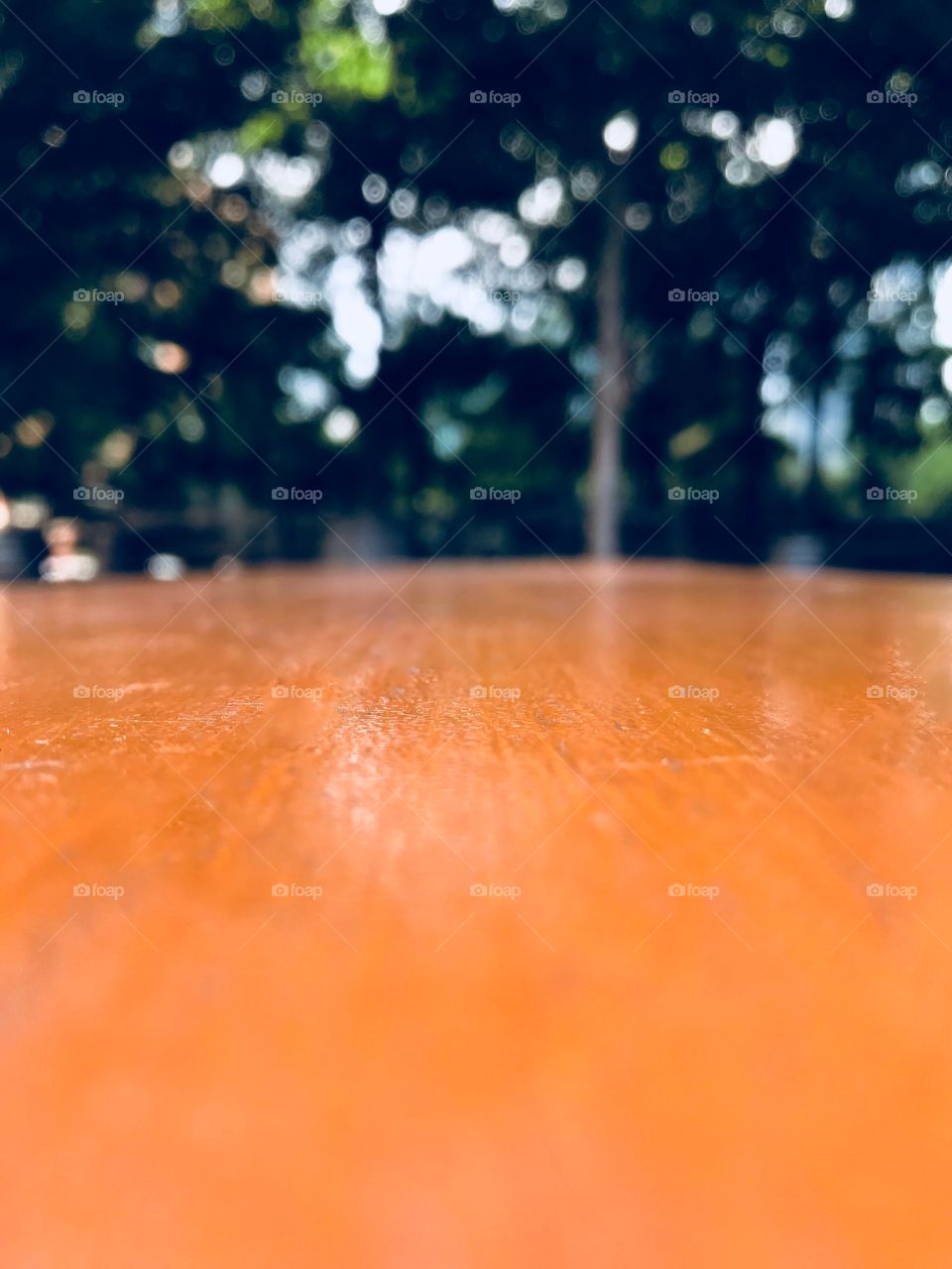Table behind Forest