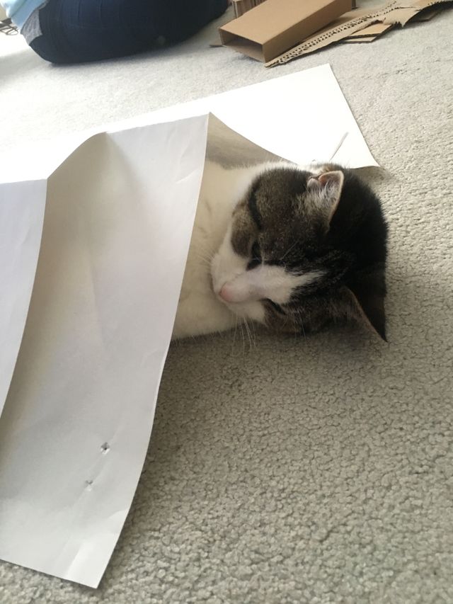 So comfy