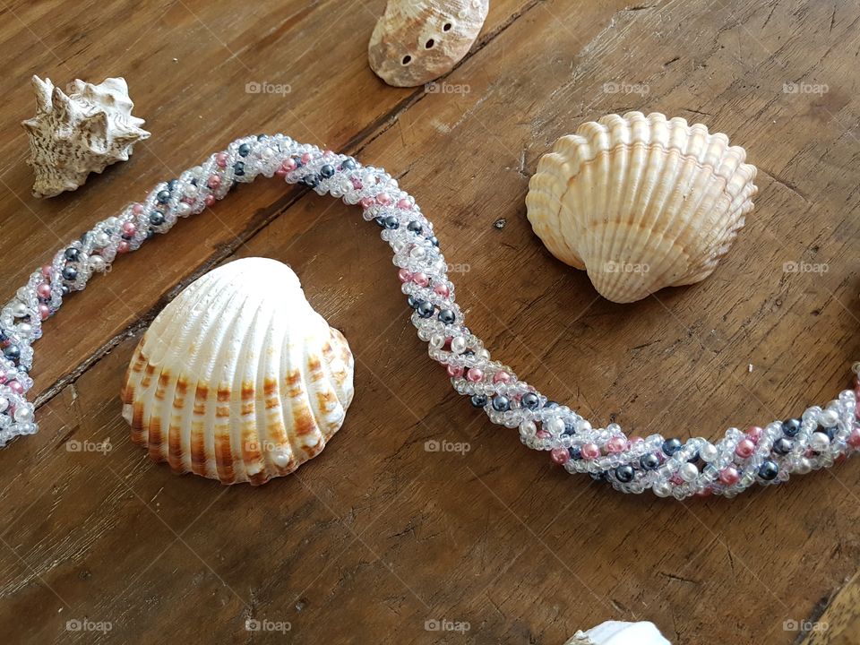 Jewelry seashell